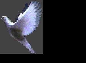 animated-avatar-dove2-1-.gif