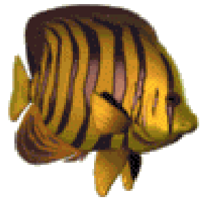 animated-avatar-angelfish-1-.gif